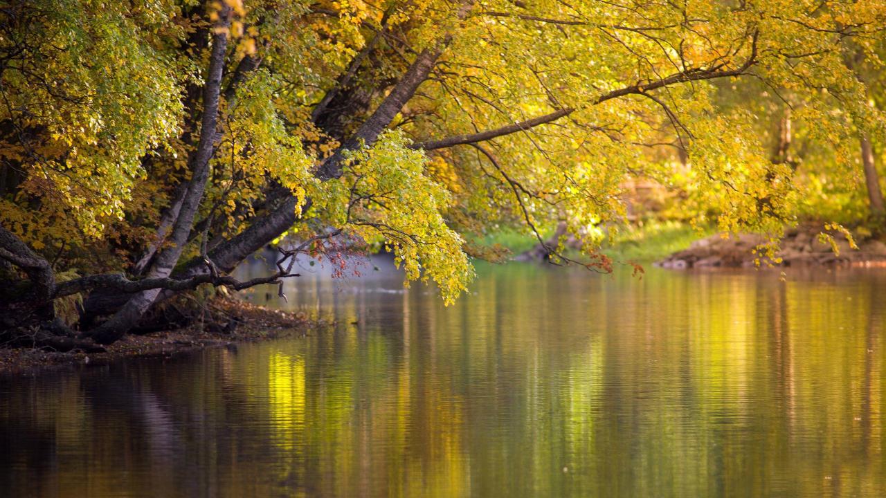HDR 4K PC Wallpapers - Top Free HDR 4K PC Backgrounds - WallpaperAccess Free online games for pc